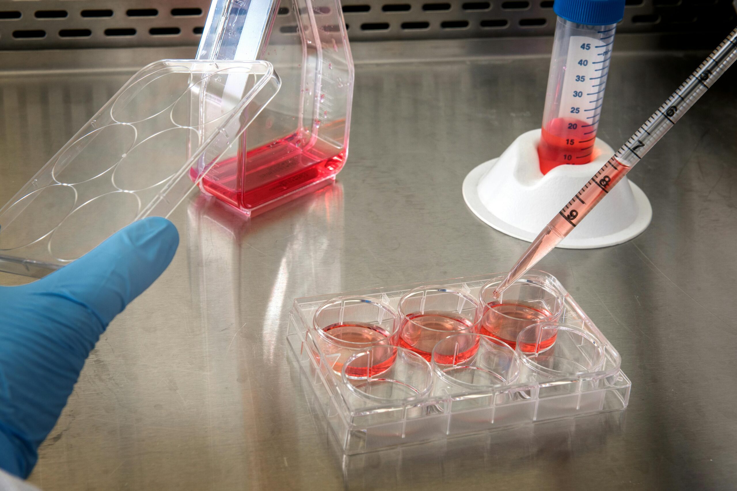Gloved hand working with cell culture samples in a lab setting.